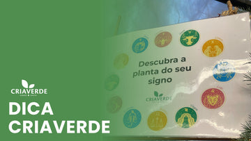 Descubra a planta do seu signo ♑