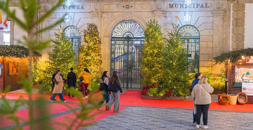 Decoração de Natal com Plantas Naturais