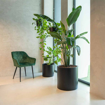 decoracao-escritorios-plantas-empresas-criaverde