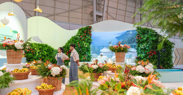 decoracao eventos plantas naturais btl turismo
