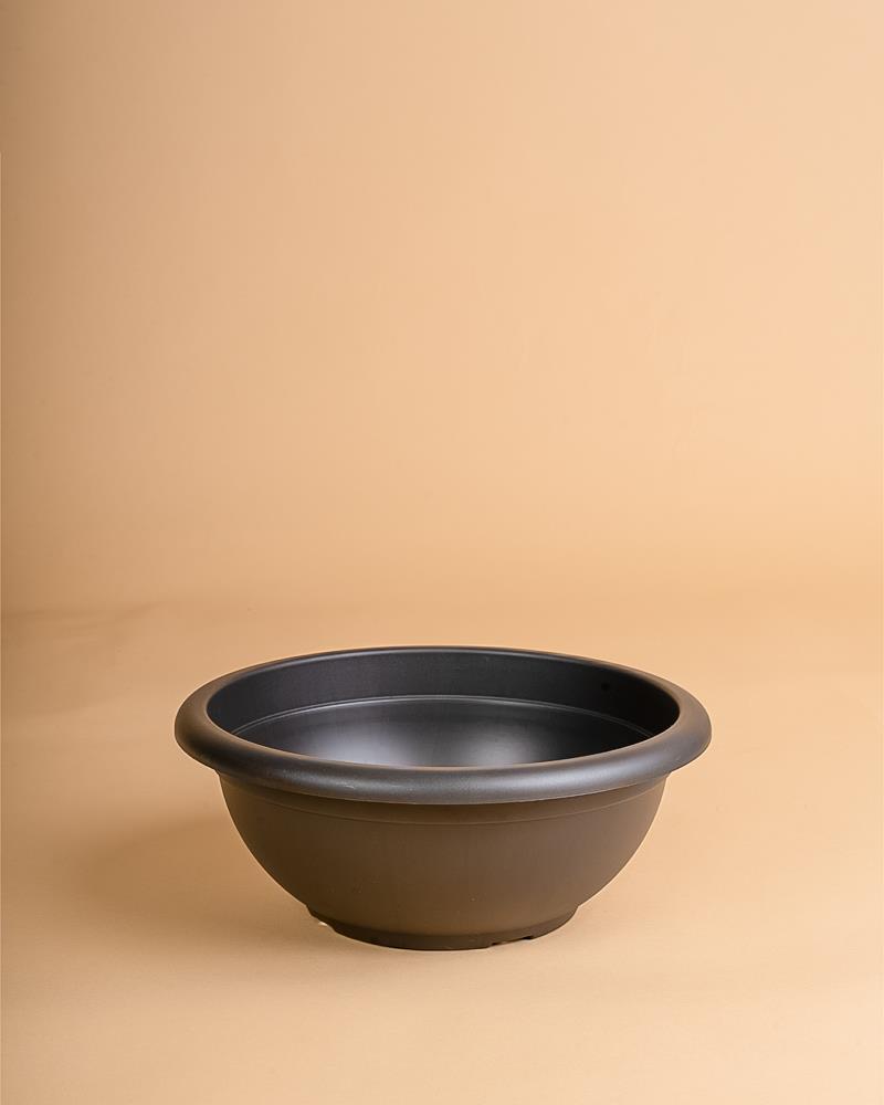 Taça venezia antracite | 30cm