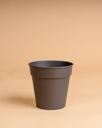 Vaso madagascar antracite | 13cm