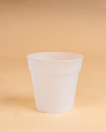 Vaso madagascar orquídea transparente | 17cm