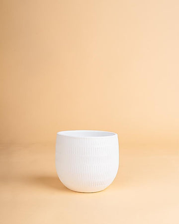 Vaso aura branco | 16cm