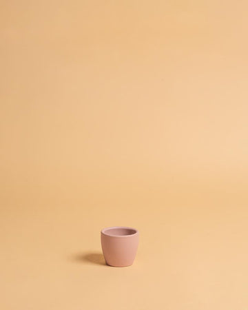 Vaso núbia cactos rosa claro | 8cm