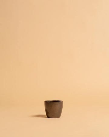 Vaso núbia cactos bronze | 8cm