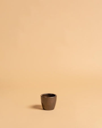 Vaso núbia cactos bronze | 8cm