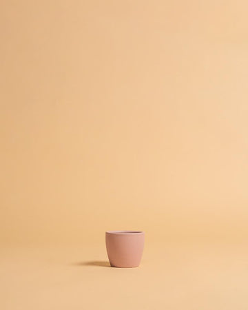 Vaso núbia cactos rosa claro | 10cm