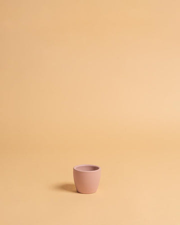 Vaso núbia cactos rosa claro | 10cm