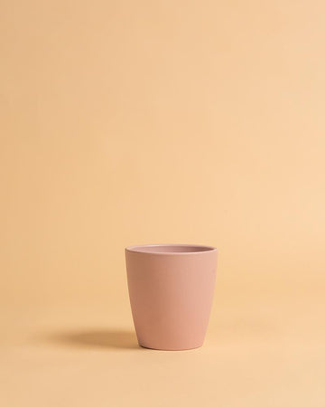 Vaso thalia orquídea rosa velho | 14cm