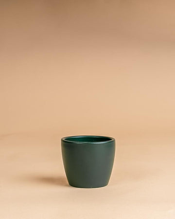 Vaso núbia cactos verde escuro | 10cm