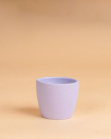 Vaso núbia cactos lavanda | 10cm