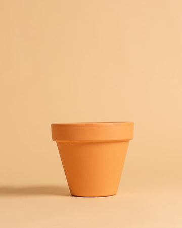 Vaso standard | 20cm