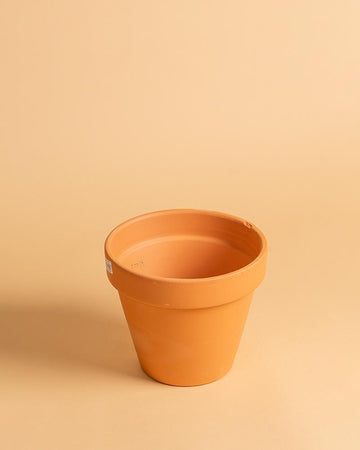 Vaso standard | 20cm