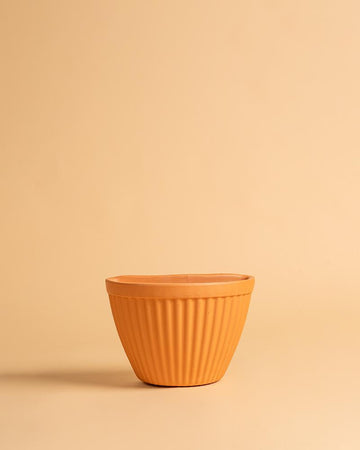 Vaso parede | 25cm