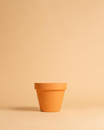 Vaso standard | 8cm