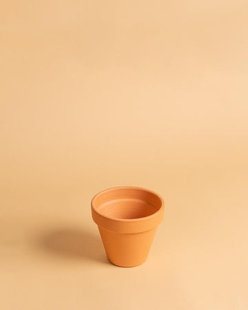 Vaso standard | 10cm