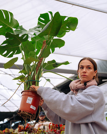 Workshop Plantas de Interior