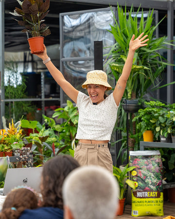 Workshop Plantas de Interior