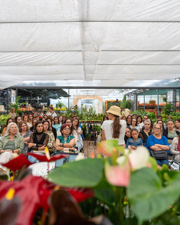 Workshop Plantas de Interior