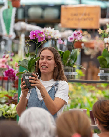 Workshop Orquídeas