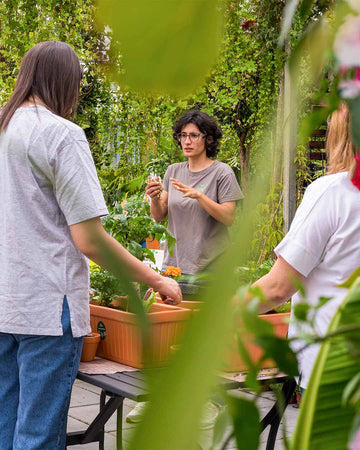 Workshop Iniciantes a Jardinagem