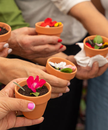 Workshop Plantas à Mesa