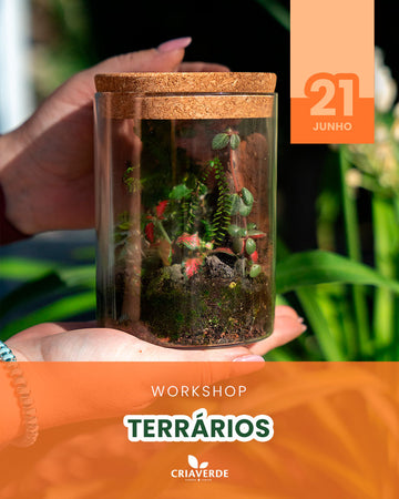 Workshop Terrários